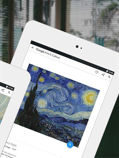Google Arts & Culture screenshot 9