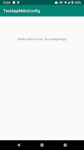 Test App MDM Config screenshot 2