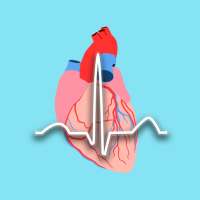 Dr ECG