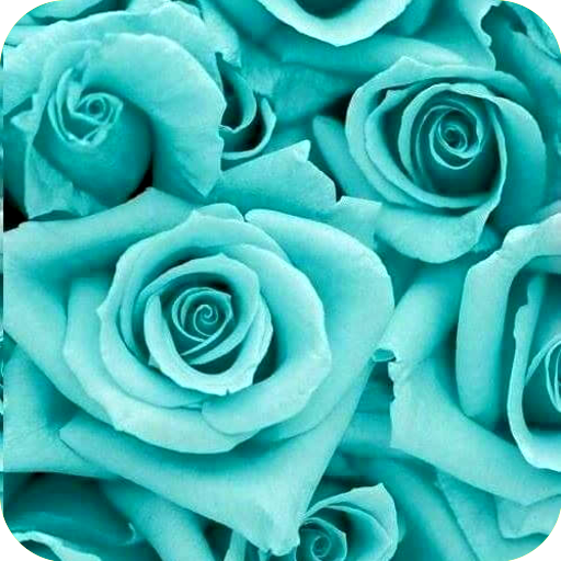 Teal Wallpaper icon
