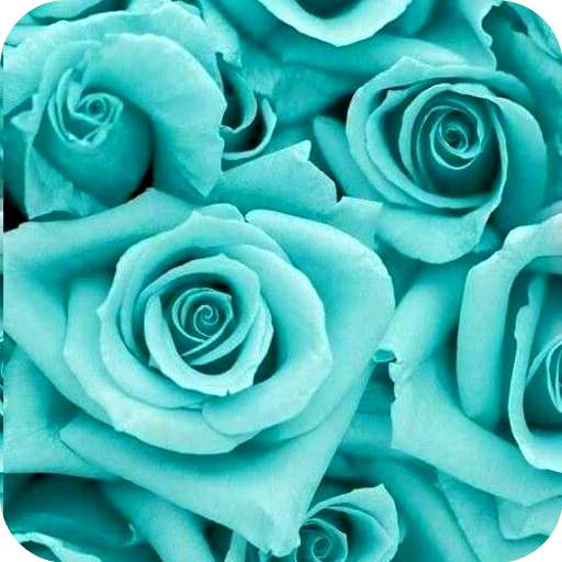 Teal Wallpaper 1.0