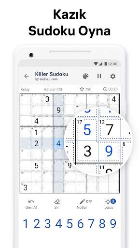 Kazık sudoku - sayı bulmacası screenshot 1