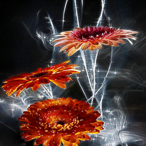 Lighting Flowers Live Wallpaper icon