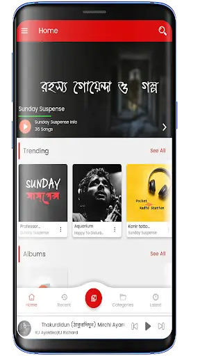 Sunday Suspense Pocket Play screenshot 1