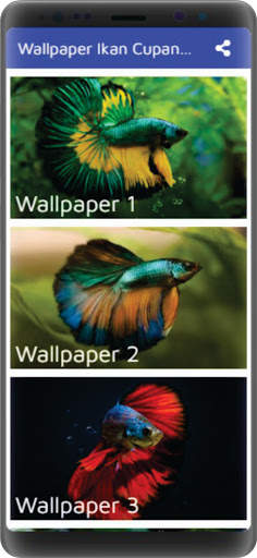 Wallpaper Ikan Cupang New screenshot 2