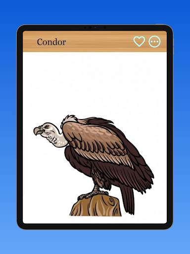 How to Draw Birds of Prey screenshot 12