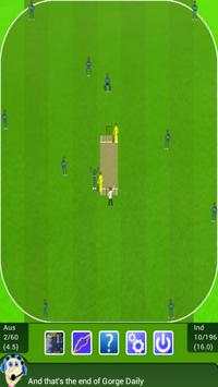 The Best Cricket Game Ever screenshot 6