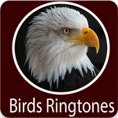 Birds Sounds icon
