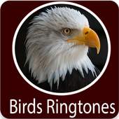 Birds Sounds 1.0