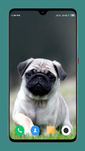 Dog Wallpaper 4K screenshot 7