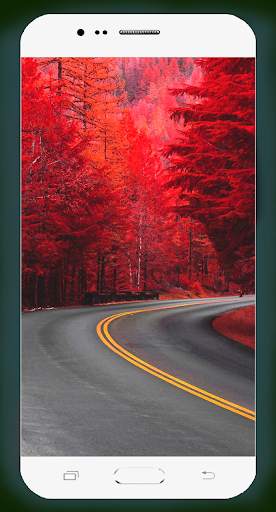 Road Wallpaper HD screenshot 8