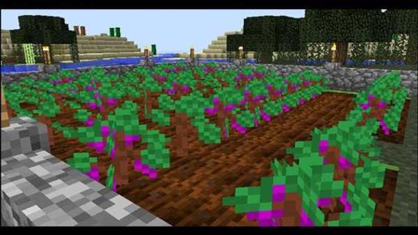 More food mods for Minecraft screenshot 2