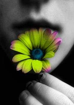 Splash Color Effect  Photo Editor screenshot 5