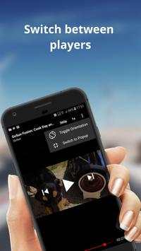 Popup screenshot 3