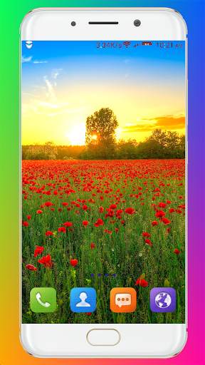 Spring Wallpaper HD скриншот 10