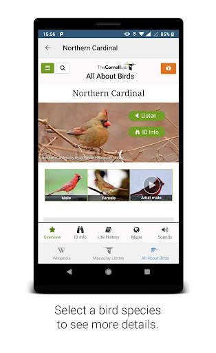 BirdNET screenshot 4