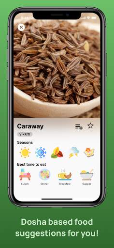 AyuRythm: Ayurvedic Wellness | Pulse Diagnosis App screenshot 5