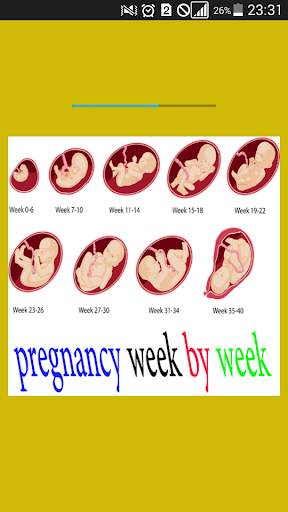 pregnancy week by week screenshot 1