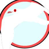 Angry-seagull 0.6