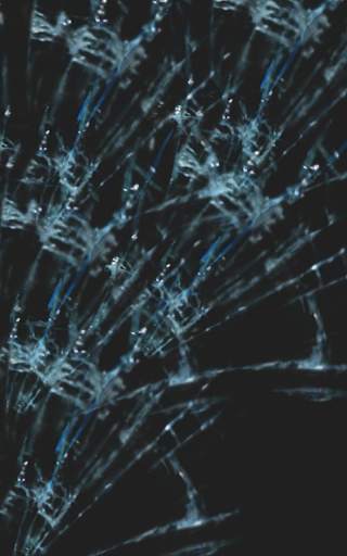 Broken Screen Live Wallpaper screenshot 1