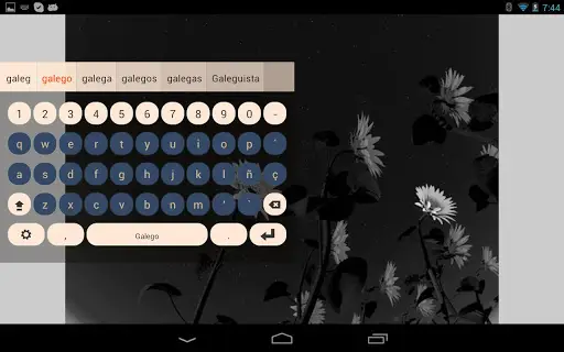 Galego Keyboard Plugin screenshot 2