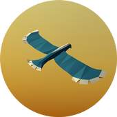 BIRD FLIGHT 0.7