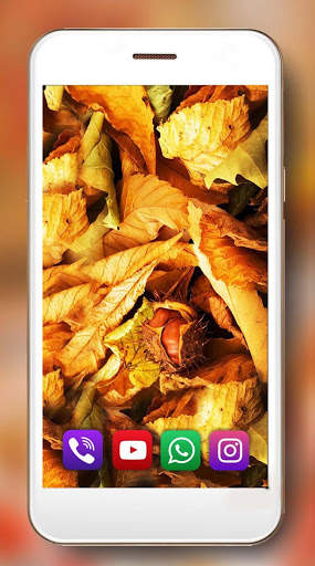Autumn Music Live Wallpaper screenshot 5