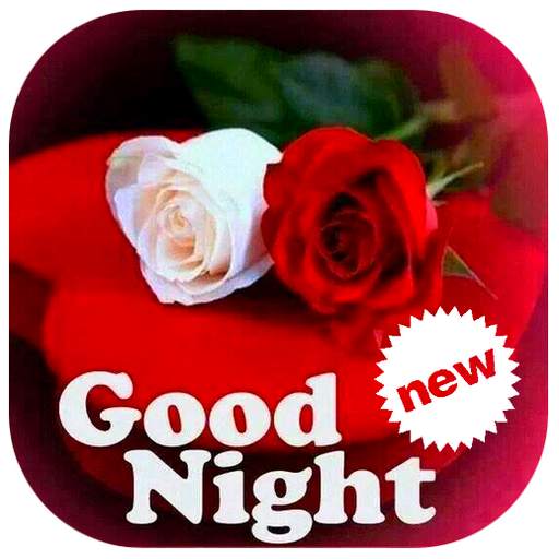 Good Night 2021 1.0