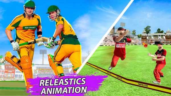 3D Live Cricket & Cricket Game screenshot 1