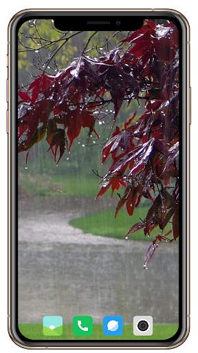 All Seasons Wallpaper screenshot 4