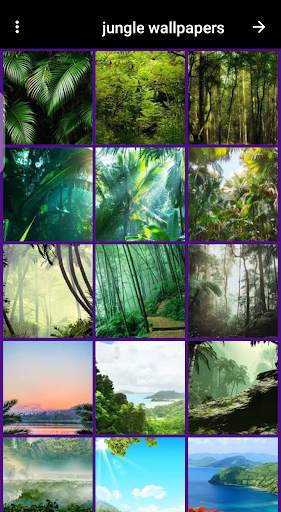 jungle wallpaper screenshot 5