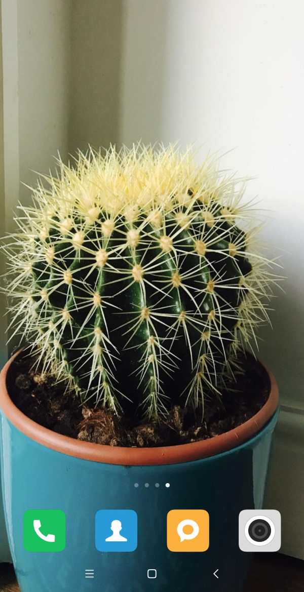 Cactus Wallpaper screenshot 11