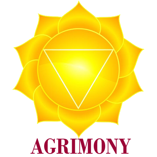 Energy Seeker icon