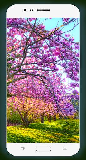 Spring Wallpaper HD screenshot 8