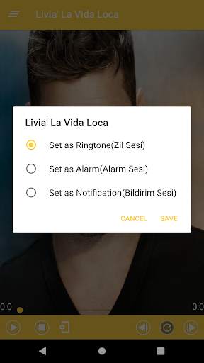 Ricky Martin Best Music(Offline) & Ringstones screenshot 5