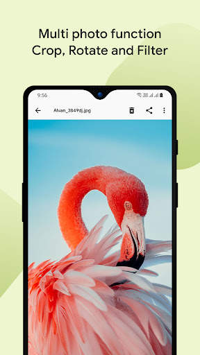 Gallery screenshot 5