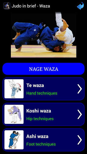 Judo in brief screenshot 2