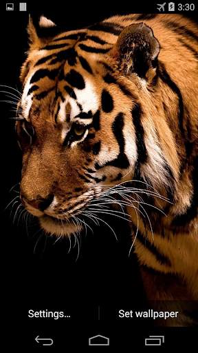 Tiger Live Wallpaper FREE screenshot 2