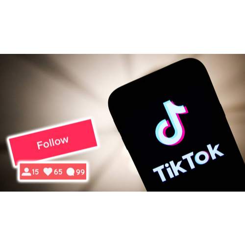 Tiktok Surge - Free Tiktok Followers 2021 screenshot 3