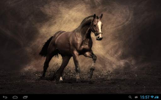 Horses Live Wallpaper screenshot 3