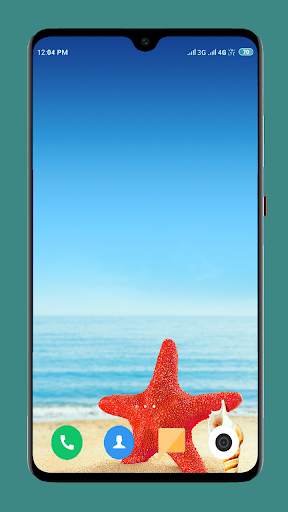 HD Seashell Wallpaper screenshot 1