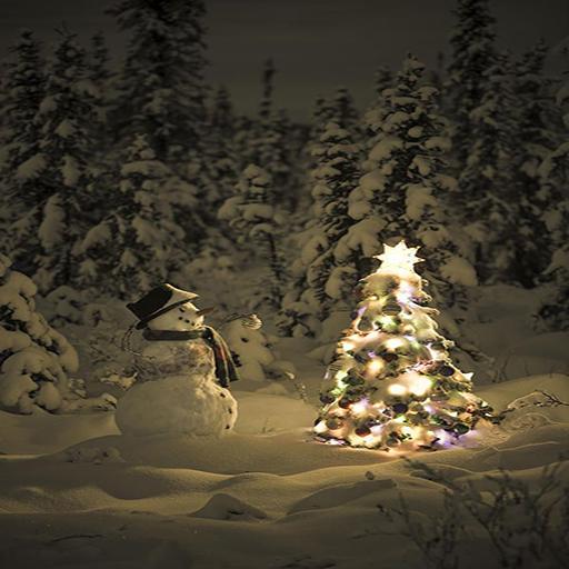 Christmas Best Live Wallpaper icon