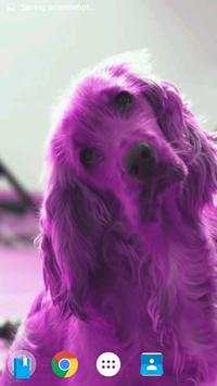 Pink Dog Video Wallpaper screenshot 3