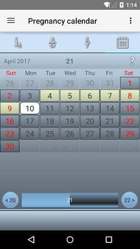 Pregnancy Calendar screenshot 5