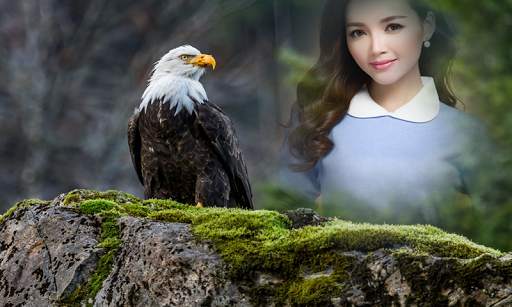 Eagles Photo Frame 1 تصوير الشاشة