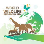 Wildlife Animal Photo Shoot icon
