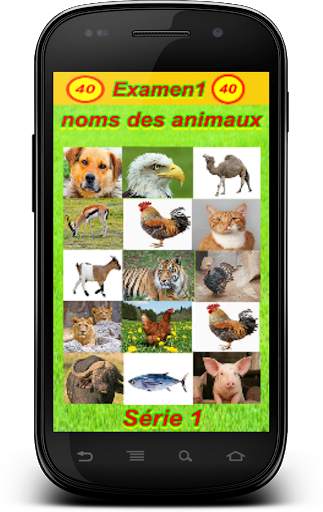 Examen 1 : noms des animaux screenshot 1