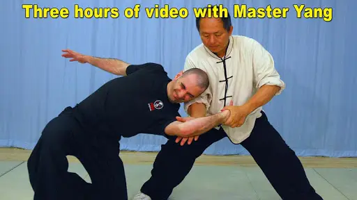 Tai Chi Martial Applications screenshot 1