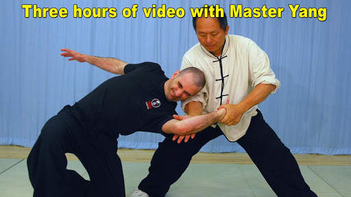Tai Chi Martial Applications screenshot 1