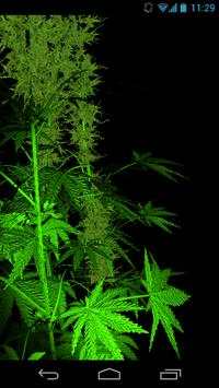 Weed 3D Live Wallpaper screenshot 1